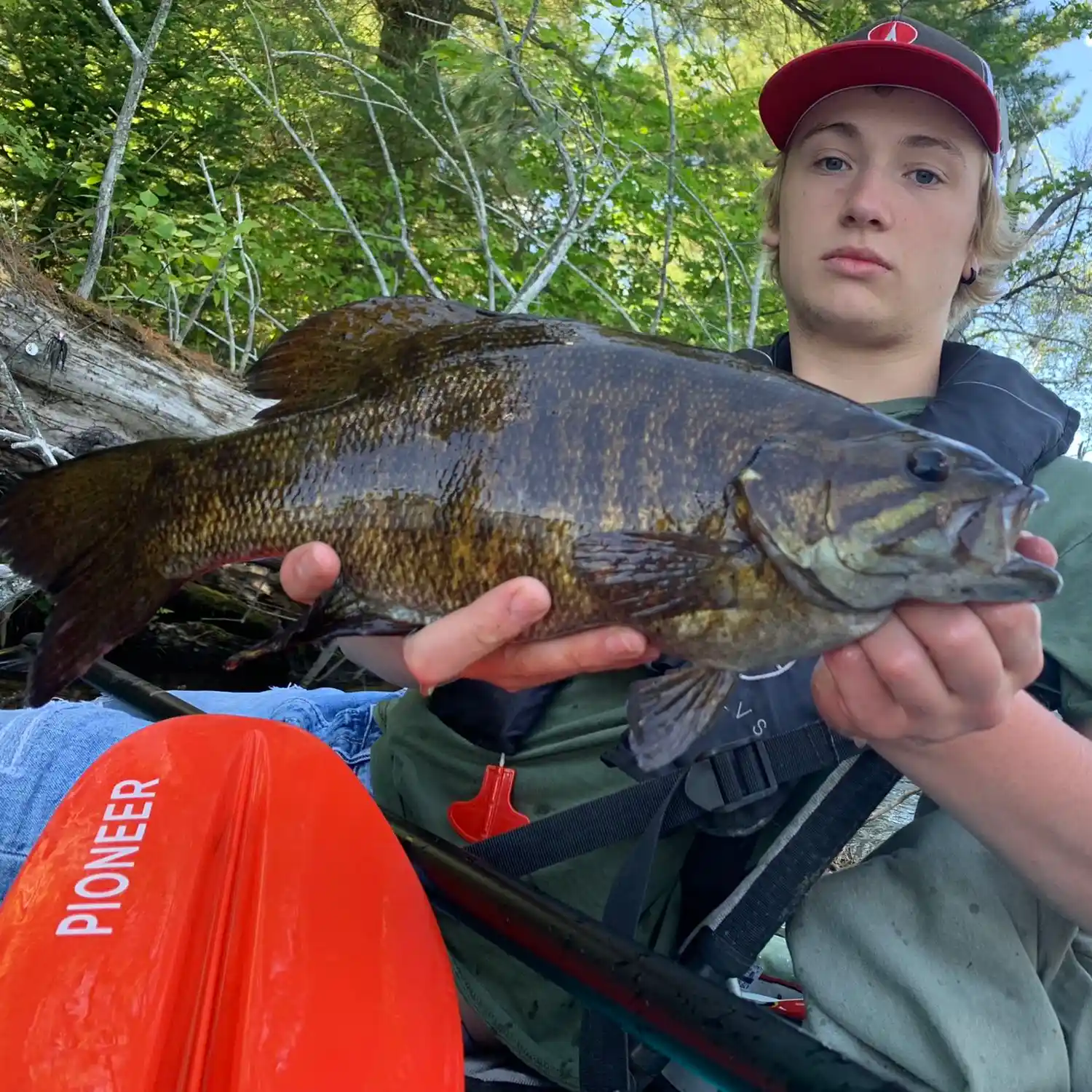 ᐅ Flambeau River fishing reports🎣• Chippewa Falls, WI (United States)  fishing