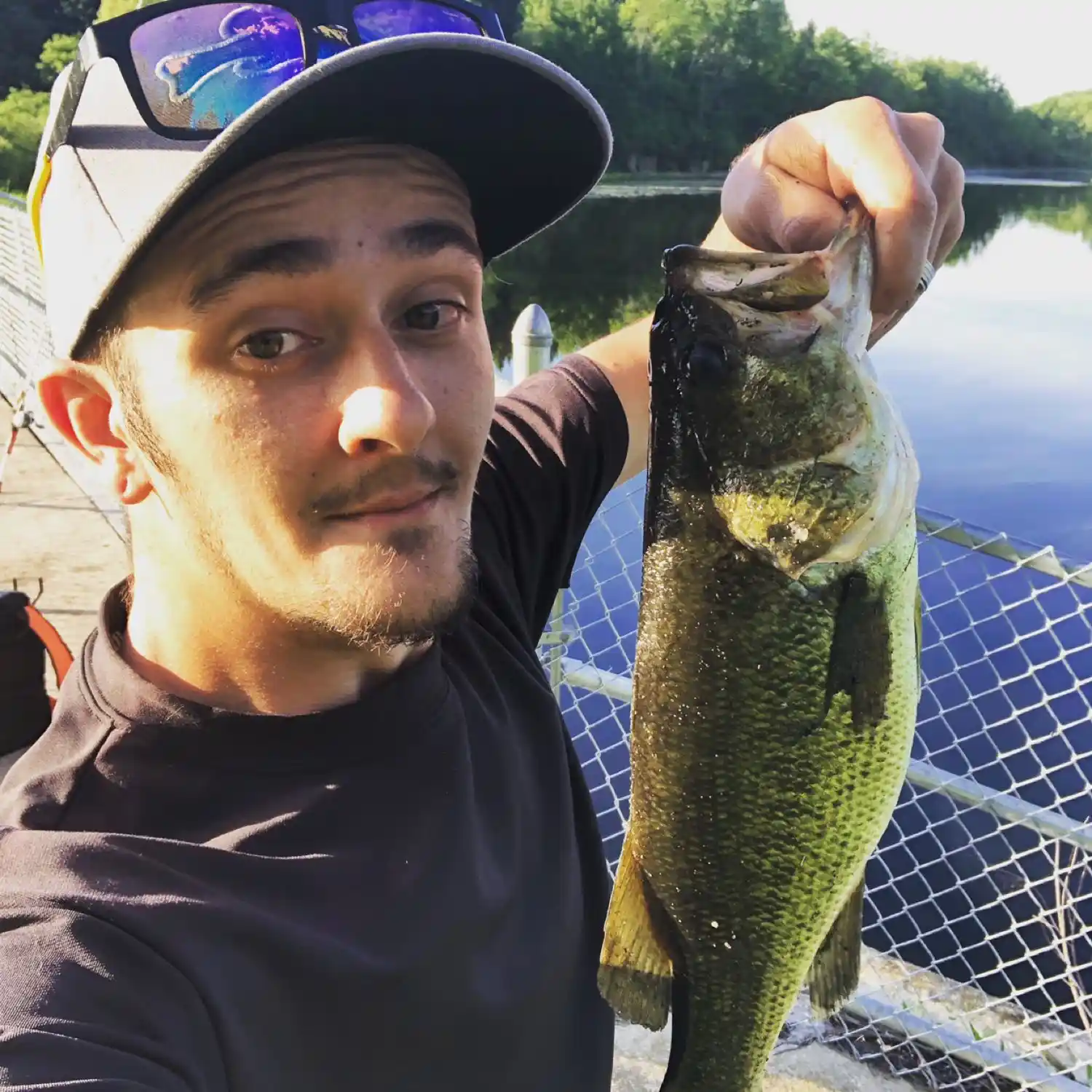 ᐅ Martiny Lake fishing reports🎣• Big Rapids, MI (United States) fishing