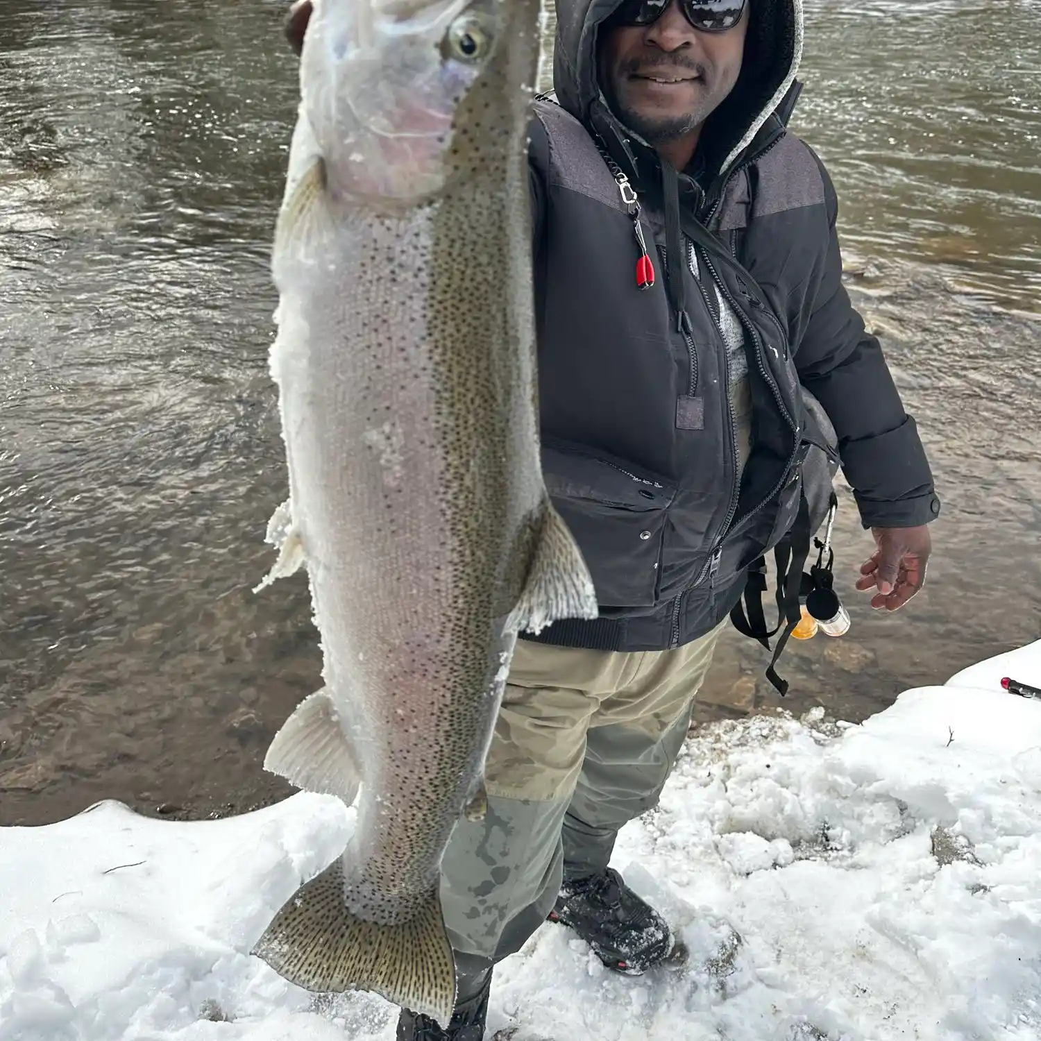 ᐅ Mullet Creek fishing reports🎣• Lewiston, Ontario (Canada) fishing