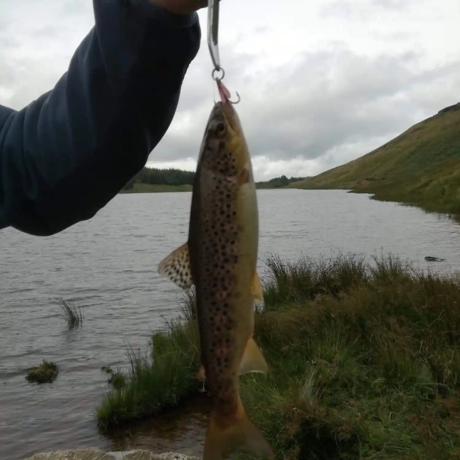 ᐅ Loch Goil fishing reports🎣• Scotland, United Kingdom fishing