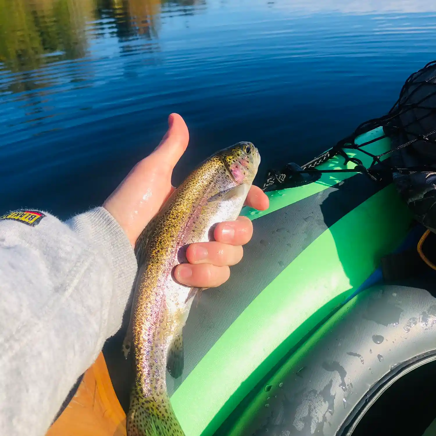 ᐅ Swamp Creek fishing reports🎣• Kenmore, WA (United States) fishing