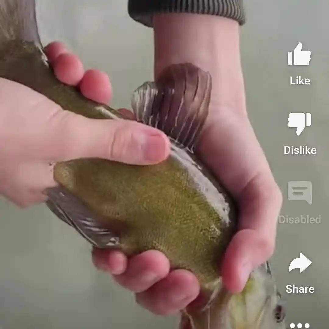 most liked catch image