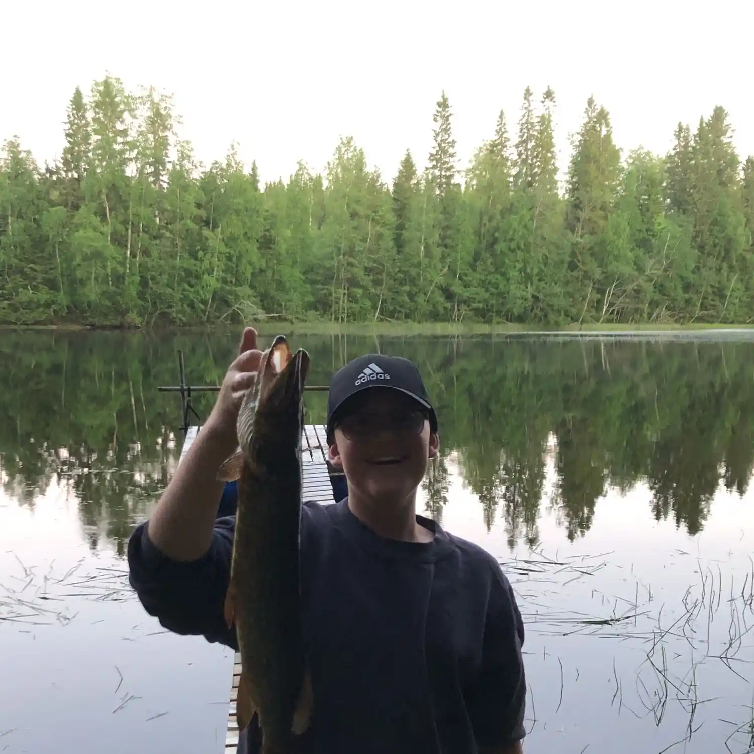 Pikewallis predatorfishing in skandinavia: Abu Garcia gjedde konkurranse  2012