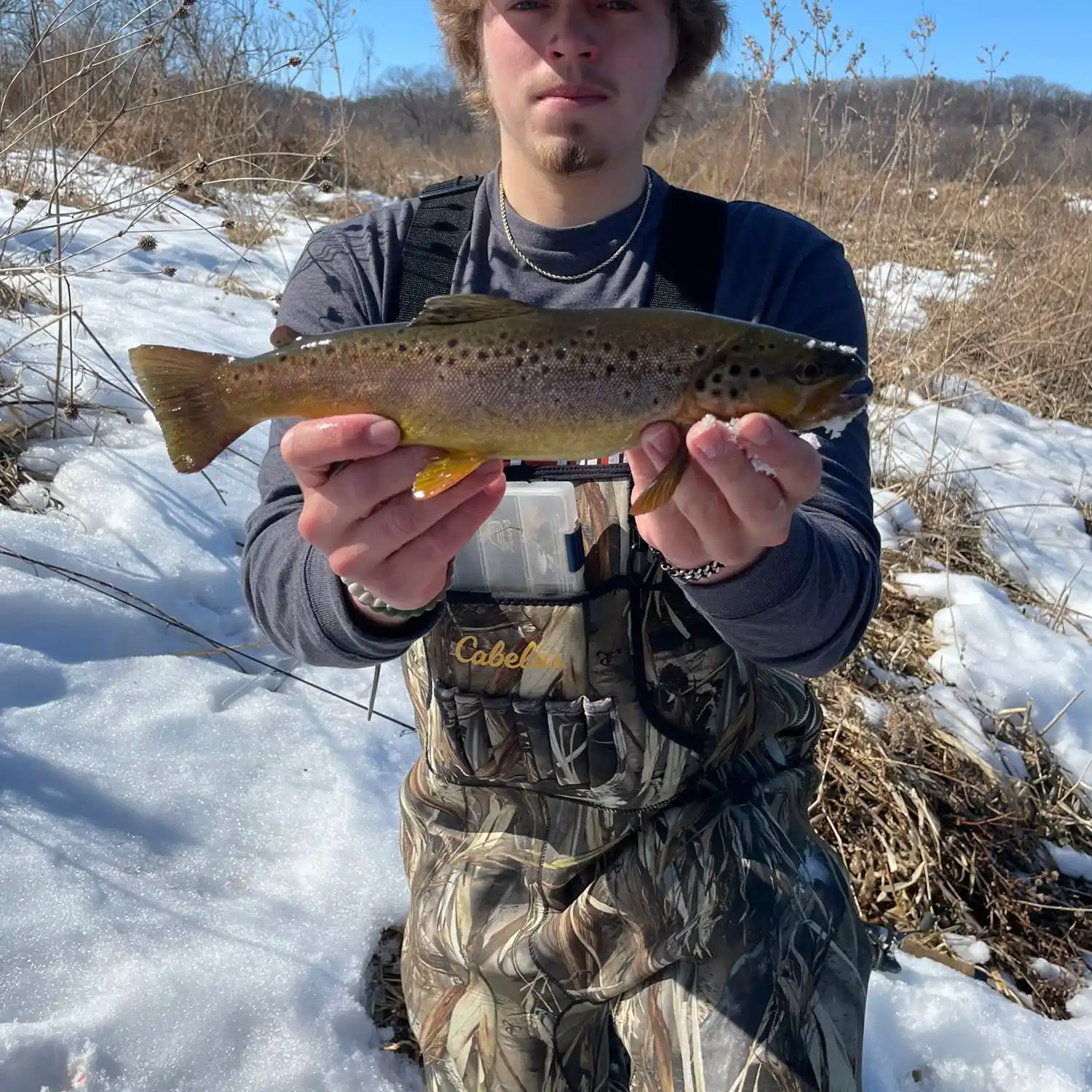 ᐅ Cannon River fishing reports🎣• Red Wing, MN (United States) fishing