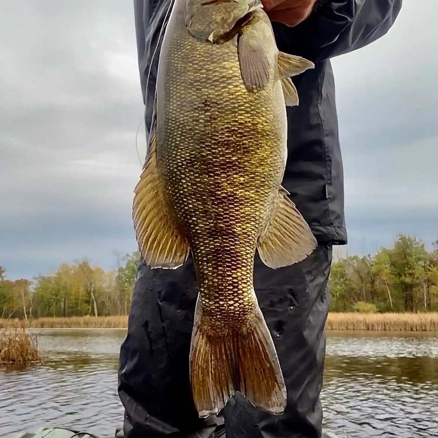 Bagley Flowage 1061 WI Fishing Reports, Maps & Hot Spots