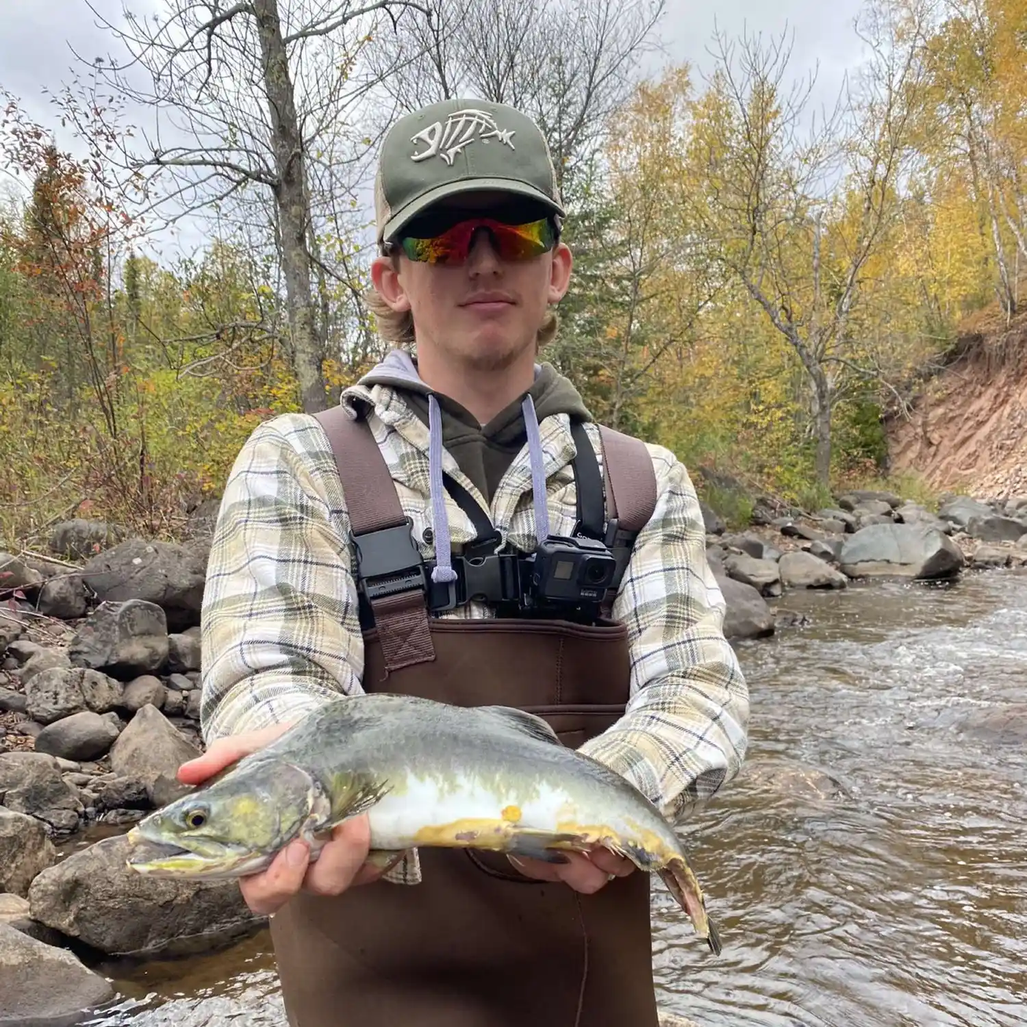 ᐅ Baptism River fishing reports🎣• Duluth, MN (United States) fishing