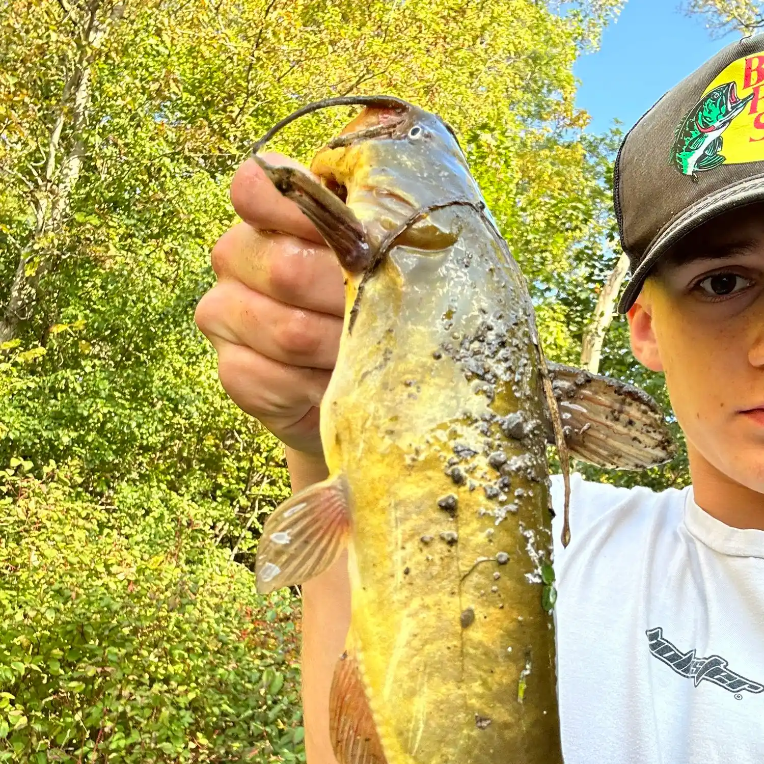 ᐅ Silver Creek fishing reports🎣• Ontario, Canada fishing