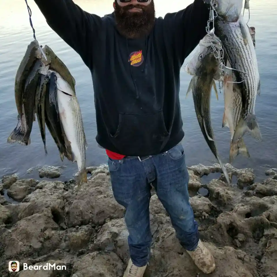 Los Vaqueros Reservoir Fish Report - Los Vaqueros Reservoir - 8.4 Lb.  Rainbow - January 18, 2024