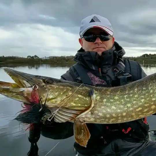 ᐅ Lough Island Reavy fishing reports🎣• N Ireland, United Kingdom