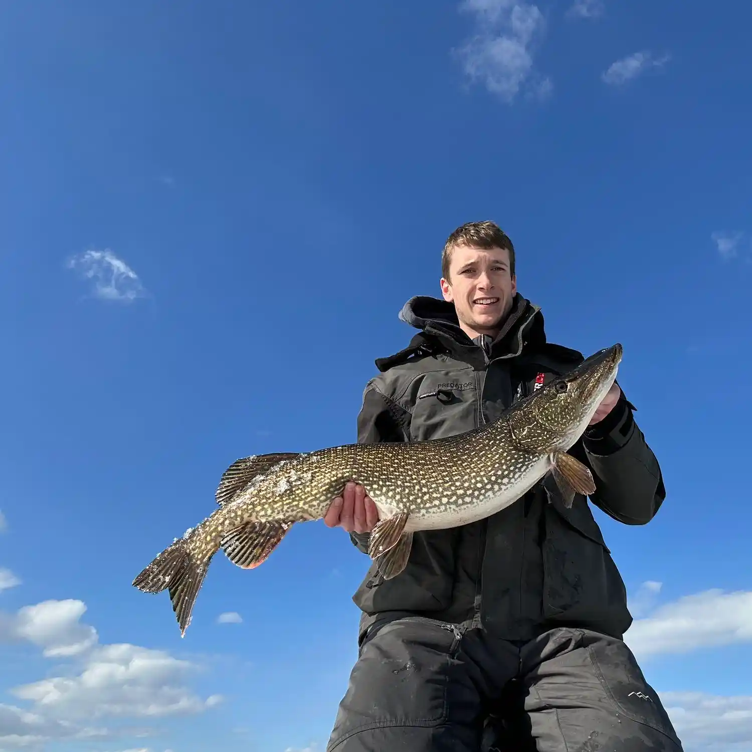 Pushaw Stream Pike - The Fisherman