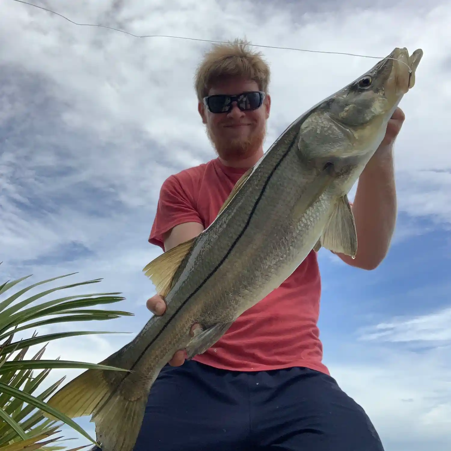 ᐅ Dania Cut-Off Canal fishing reports🎣• Dania Beach, FL (United States)  fishing