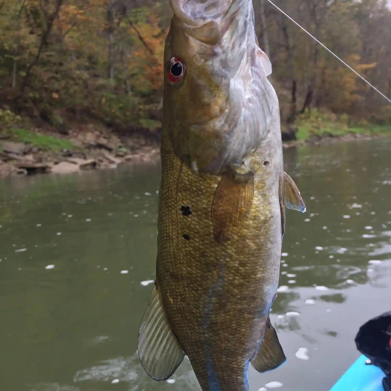 ᐅ East Fork Whitewater River fishing reports🎣• Oxford, OH