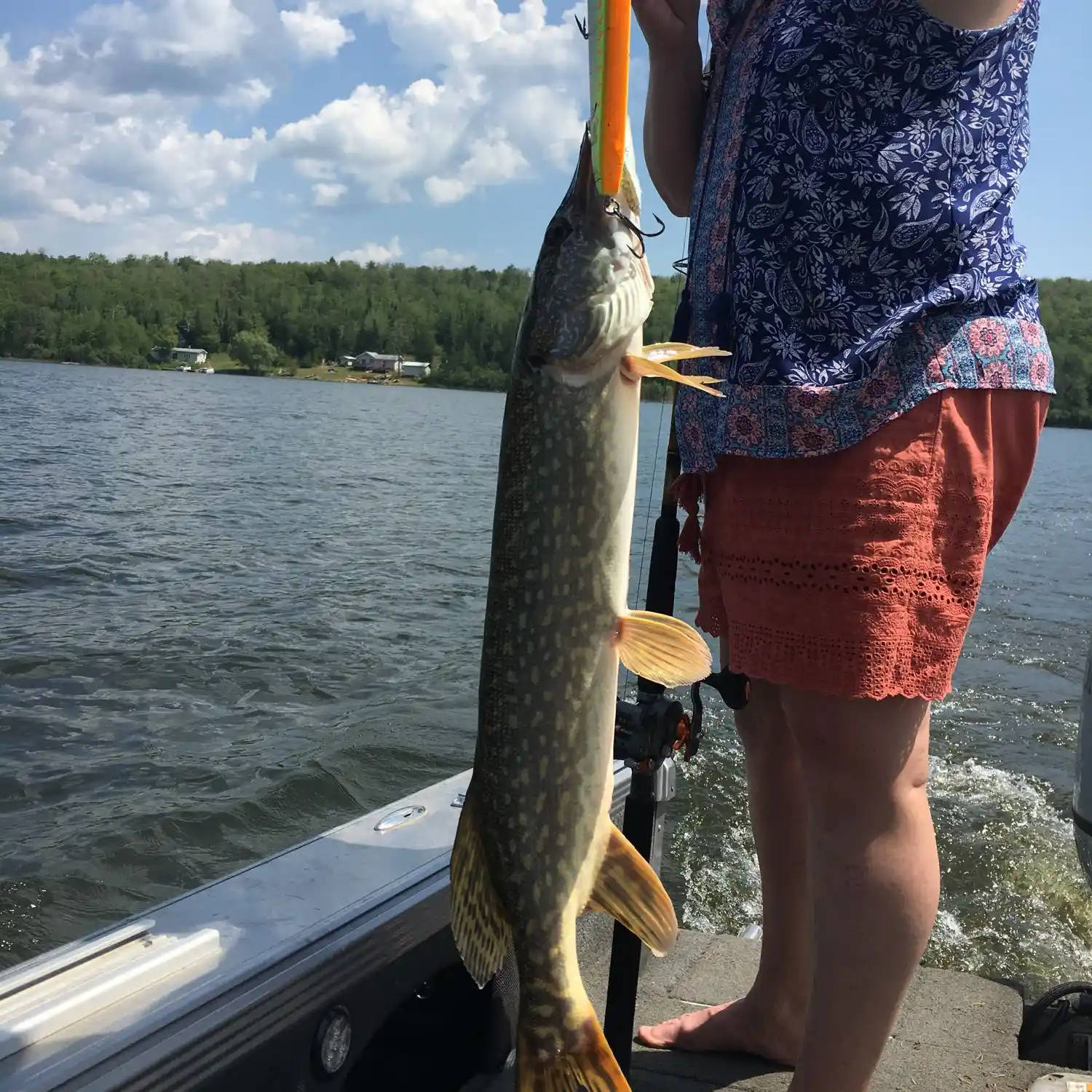 ᐅ North River fishing reports🎣• Ontario, Canada fishing