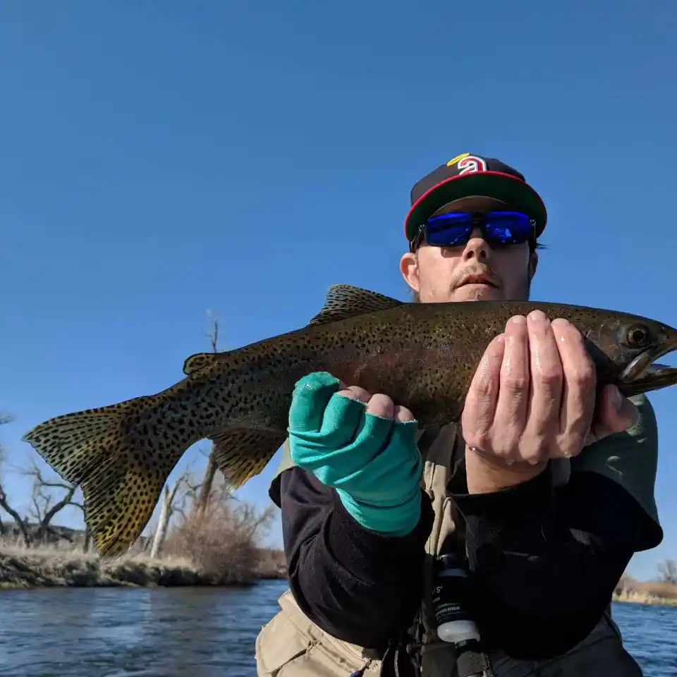 ᐅ Bighorn River fishing reports🎣• Billings, MT (United States) fishing