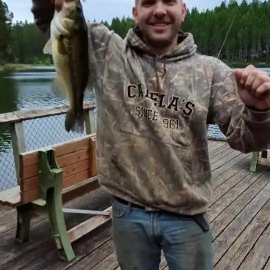 ᐅ Benson Lake fishing reports🎣• Shelton, WA (United States) fishing