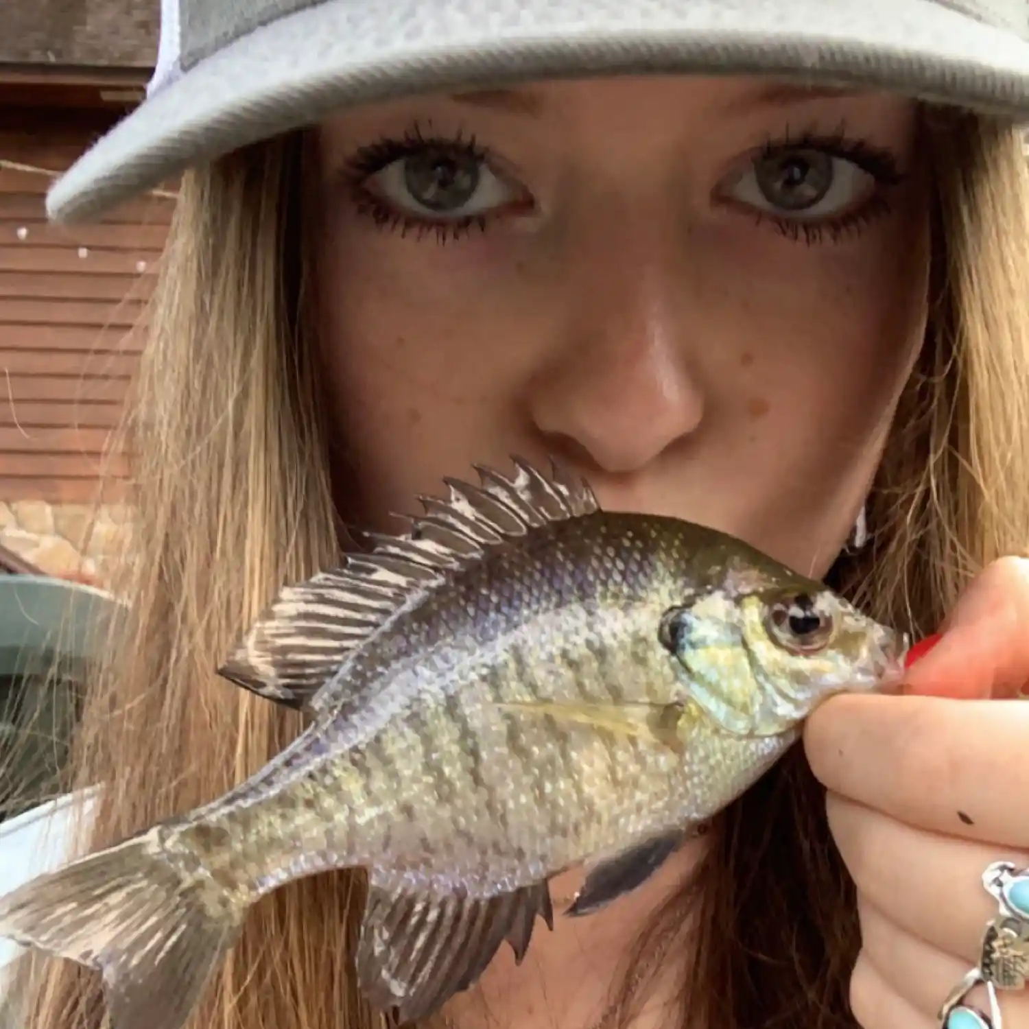 ᐅ Bahlman Lake fishing reports🎣• Tillmans Corner, AL (United States)  fishing