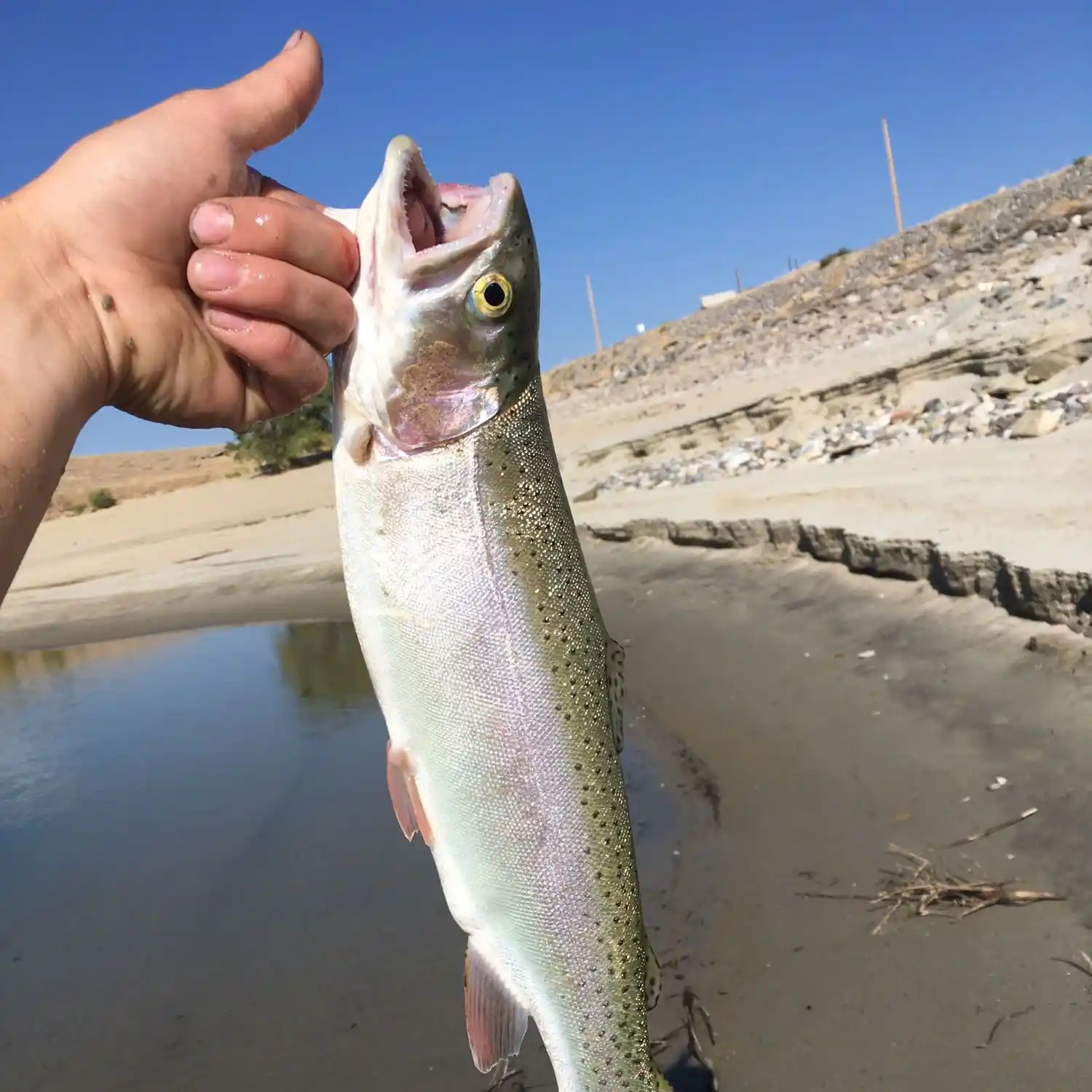 ᐅ Pilot Butte Reservoir fishing reports🎣• Riverton, WY (United States)  fishing