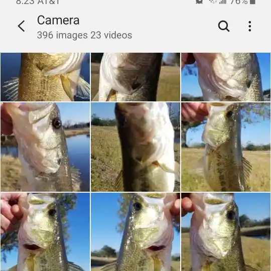 most liked catch image