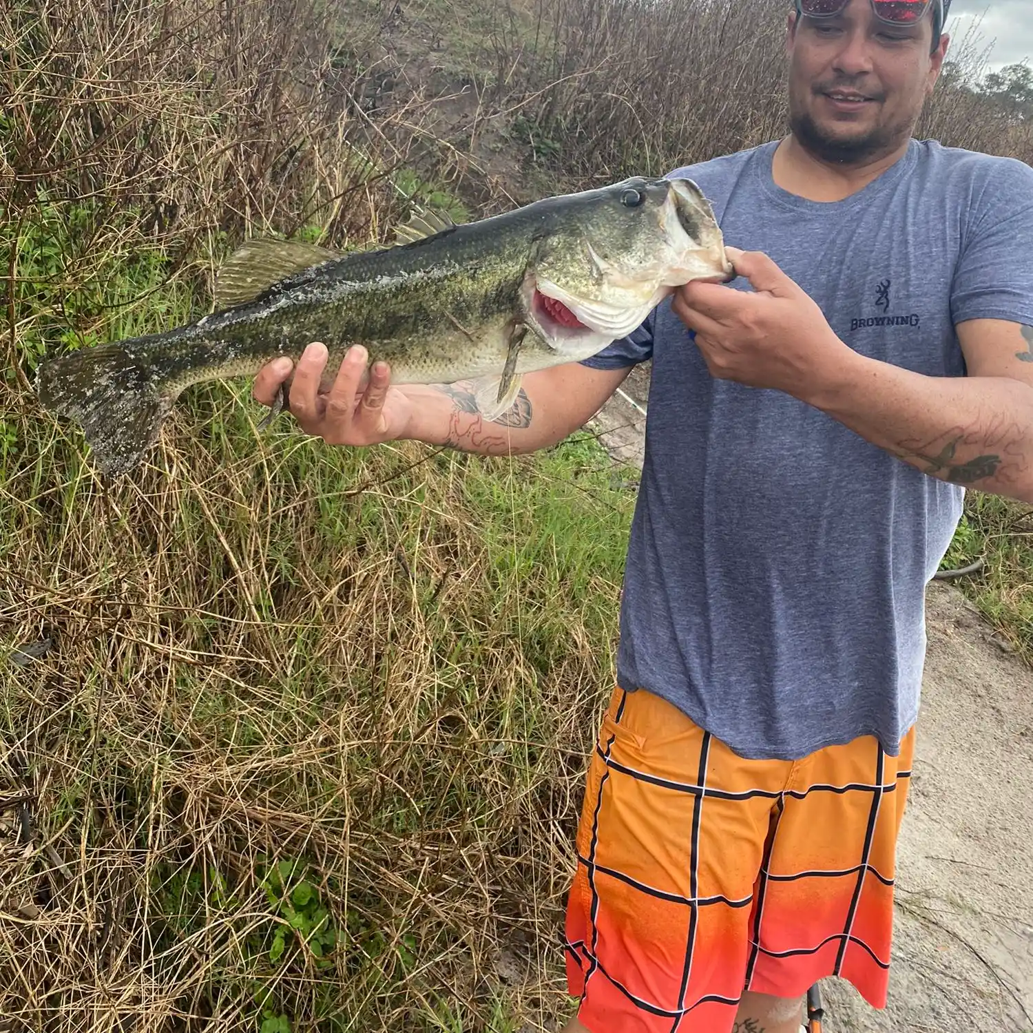ᐅ Indian Lake fishing reports🎣• Ocala, FL (United States) fishing