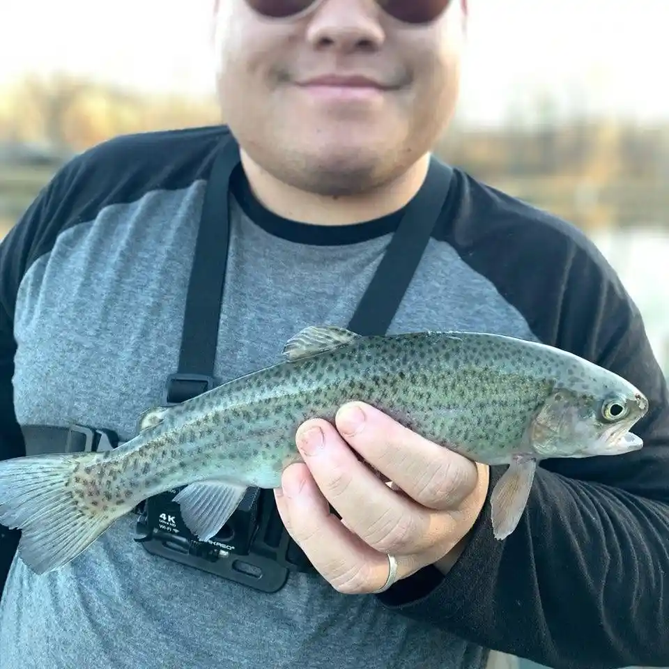 Charles D. Owen District Park fishing reports Asheville NC