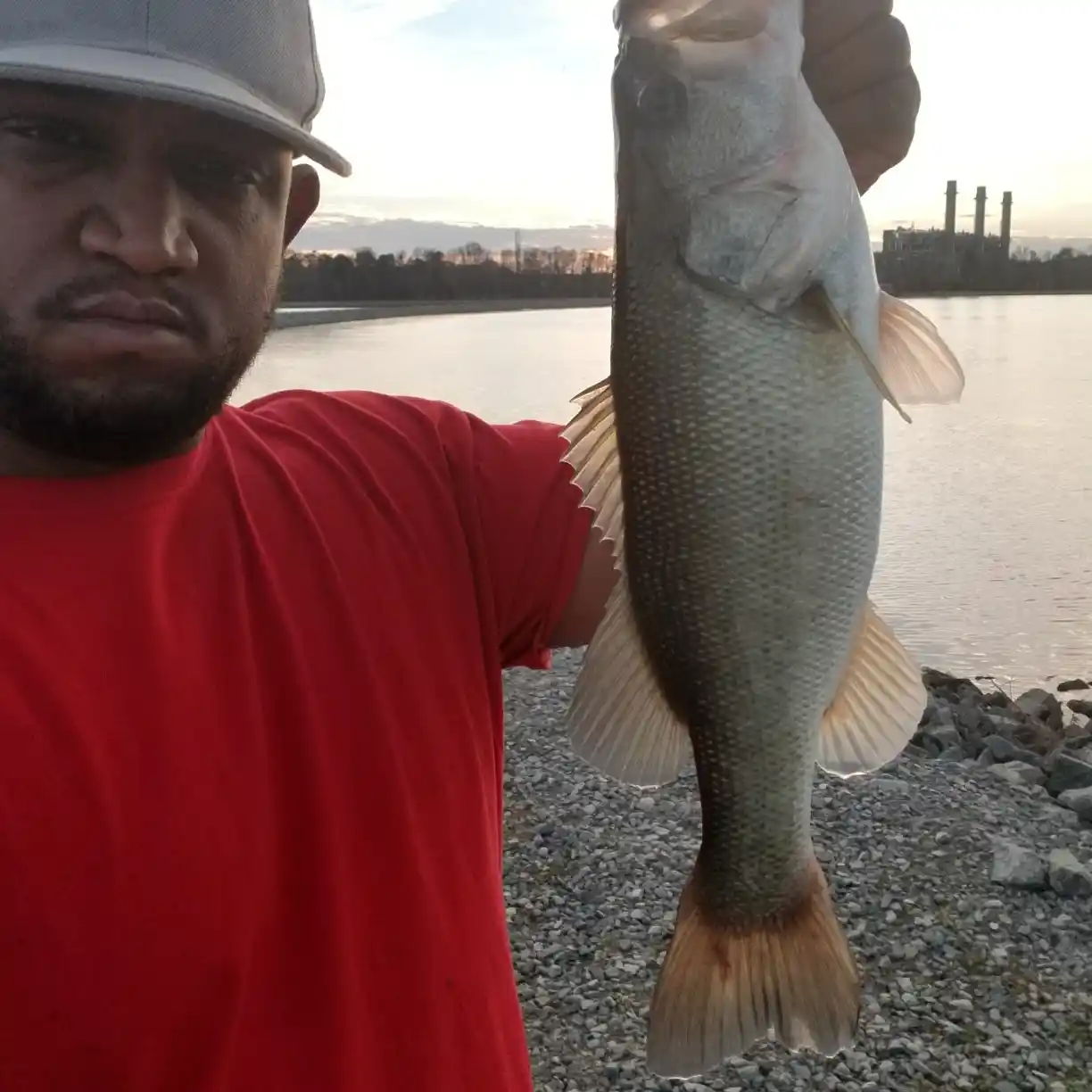 ᐅ Quaker Neck Lake fishing reports🎣• Goldsboro, NC (United States) fishing