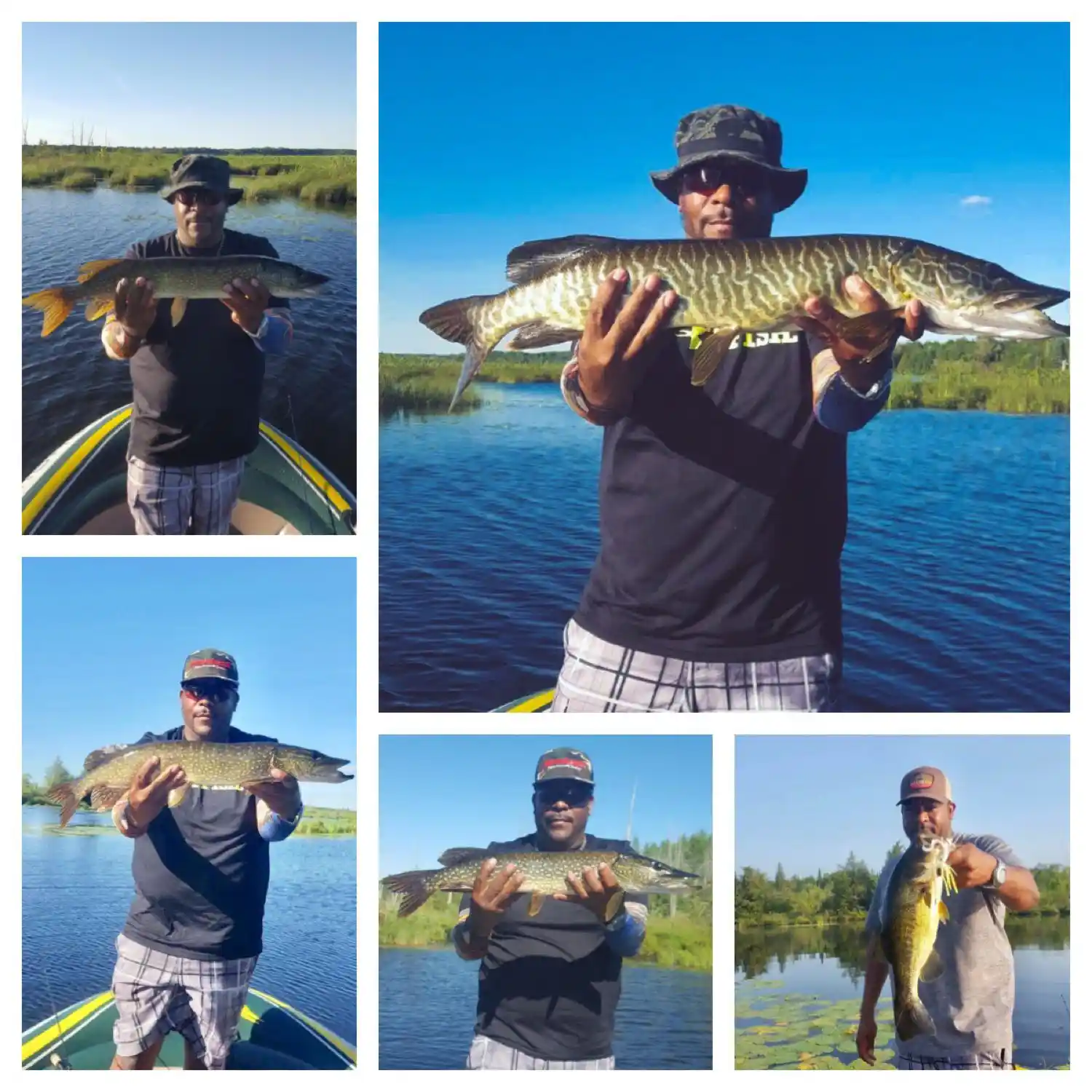 ᐅ Kawartha Lakes fishing reports🎣• Ontario, Canada fishing