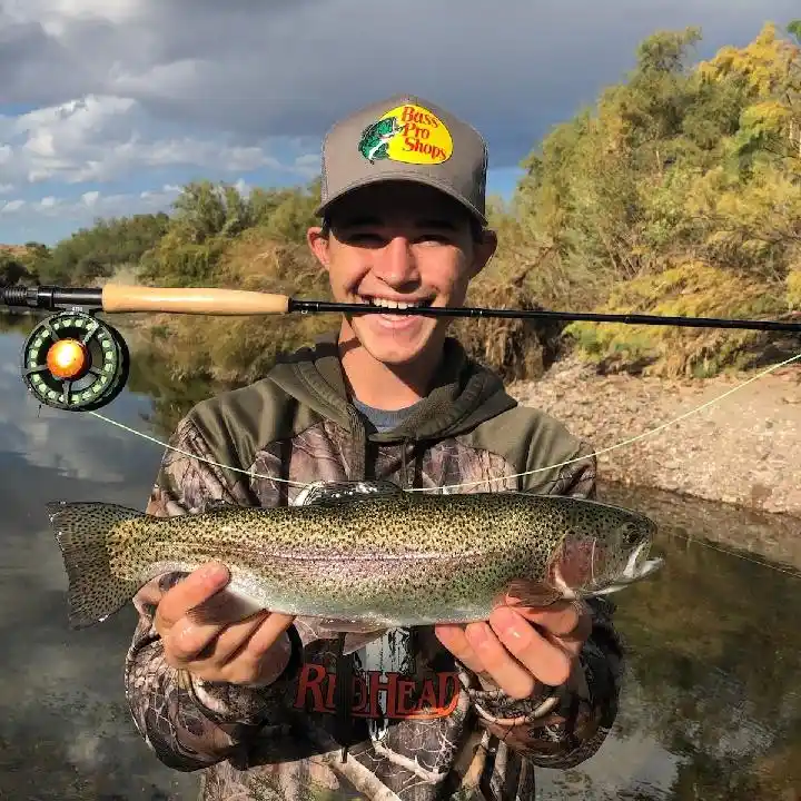 Bass fishing at Lower Salt River : r/ArizonaFishing