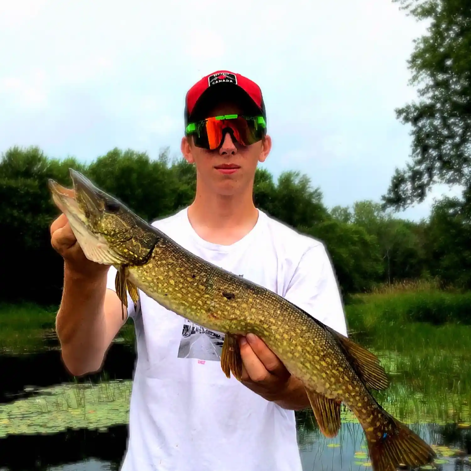 ᐅ Mississippi River fishing reports🎣• Ontario, Canada fishing