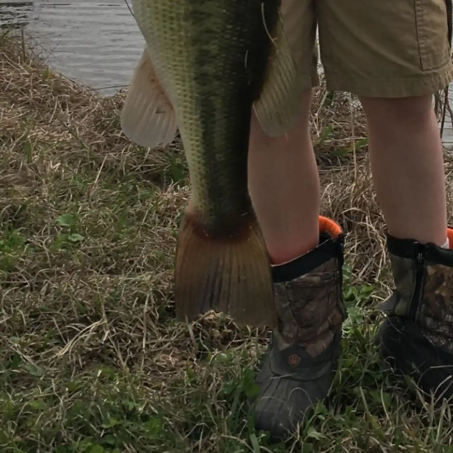 ᐅ Lucas Pond fishing reports🎣• Bastrop, AR (United States) fishing