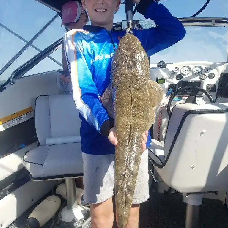 NSW DPI Fisheries - Anglers fishing the Shoalhaven should check out the new fishing  platform on Bolong Rd between Shoalhaven Heads and Bomaderry? Anglers  report its a top spot for luderick but