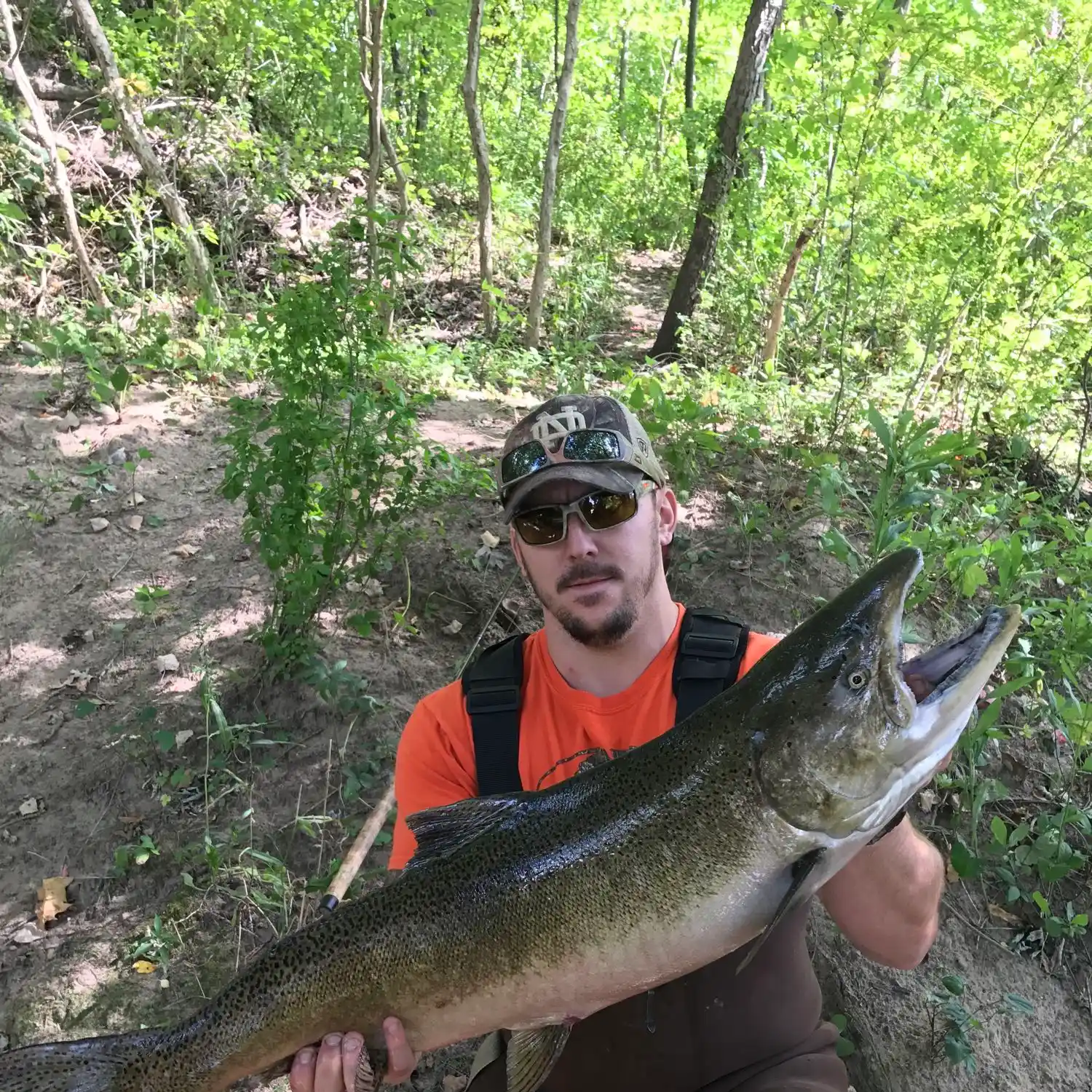 Trail Creek, Indiana Fishing Report