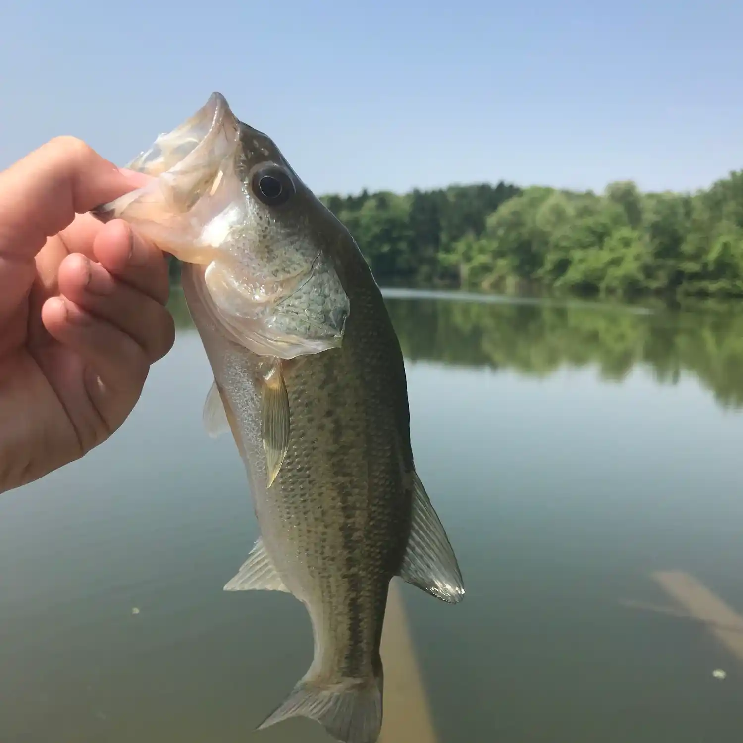 Last year I was fishing under the bridge on the local river and lost my Bic  lighter. I went there to fish today and found it still working just fine. :  r/lighters