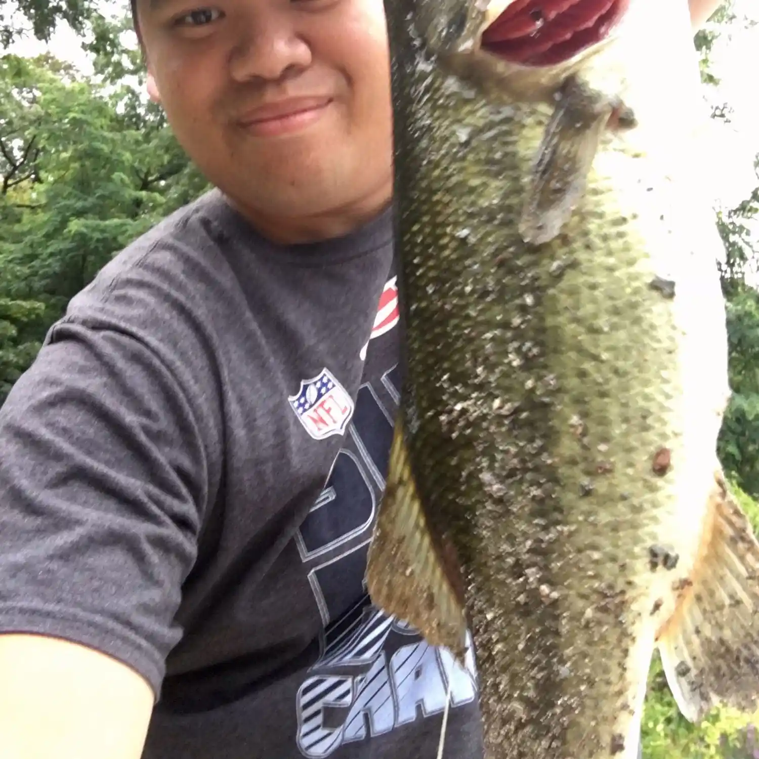 ᐅ Bulloughs Pond fishing reports🎣• Newton, MA (United States