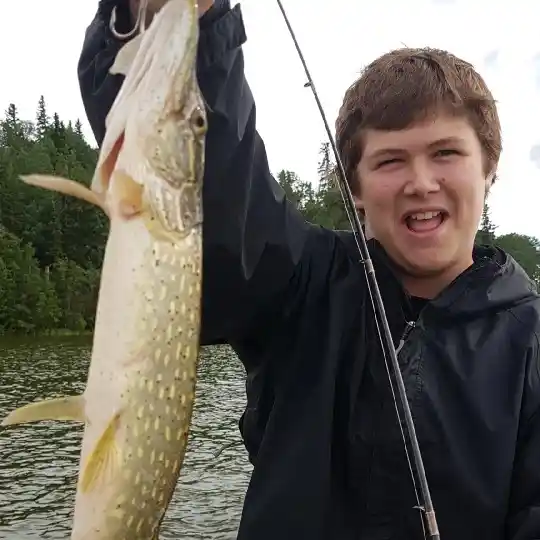 ᐅ Fawcett Lake fishing reports🎣• Alberta, Canada fishing