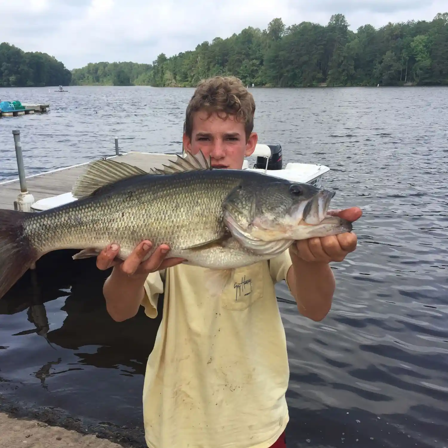 ᐅ Boy Scout Pond fishing reports🎣• Kernersville, NC (United