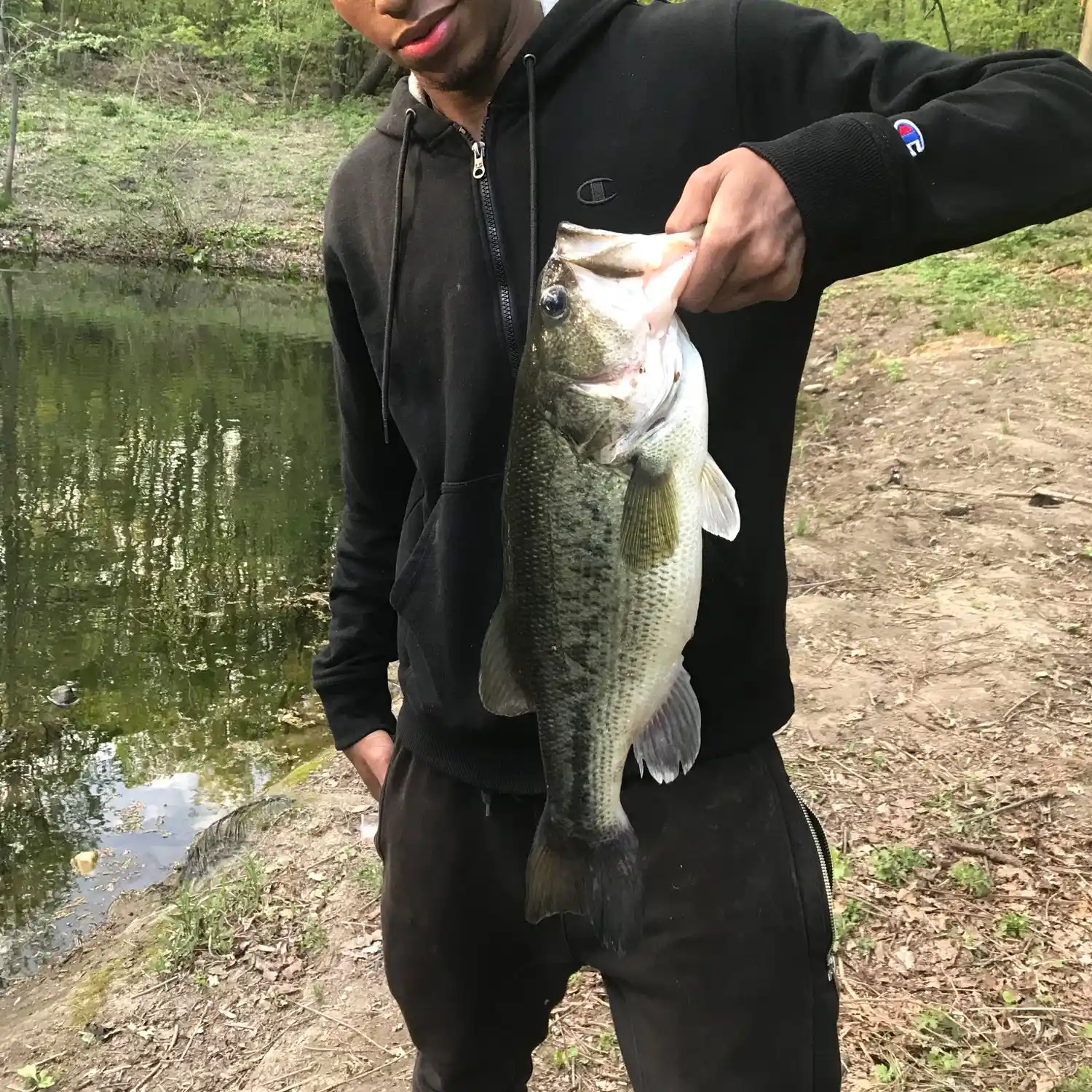 Ultralight Fly Fishing • Prospect Park, Brooklyn, NY