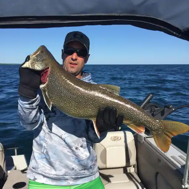 ᐅ Aird Bay fishing reports🎣• Ontario, Canada fishing