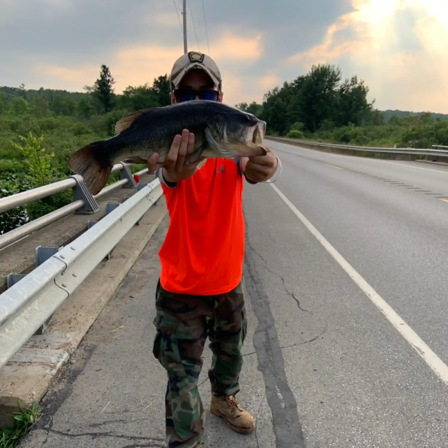 ᐅ Pymatuning Swamp fishing reports🎣• Meadville, PA (United States) fishing