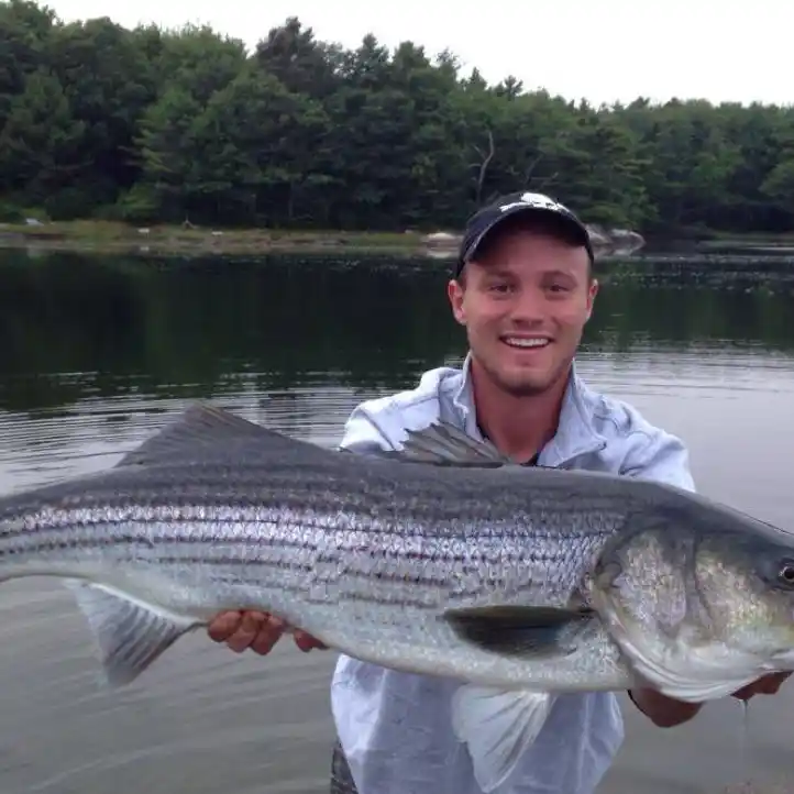 Striped Bass River Fishing