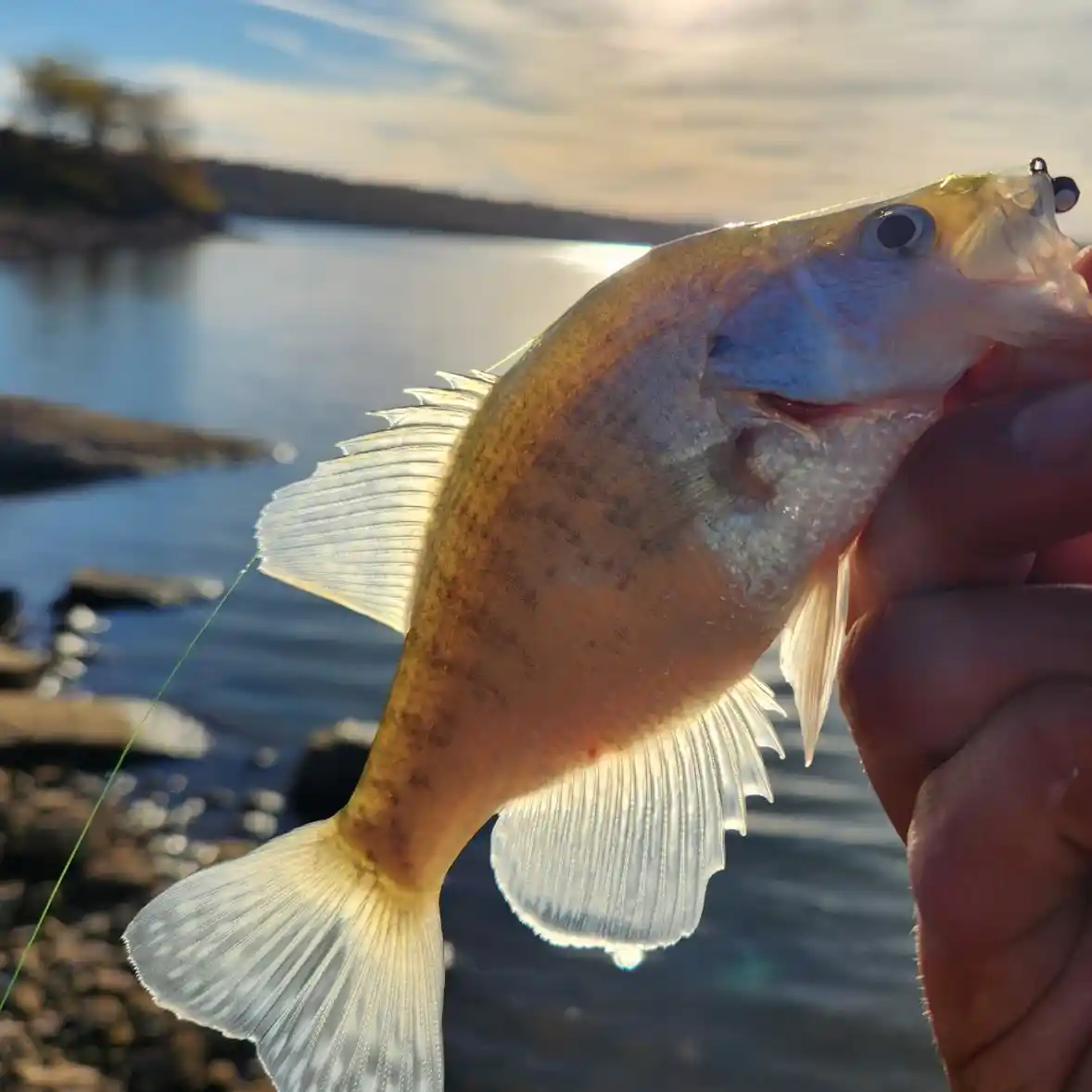 Crappie Fishing Destination – Oklahoma's Eufaula Lake