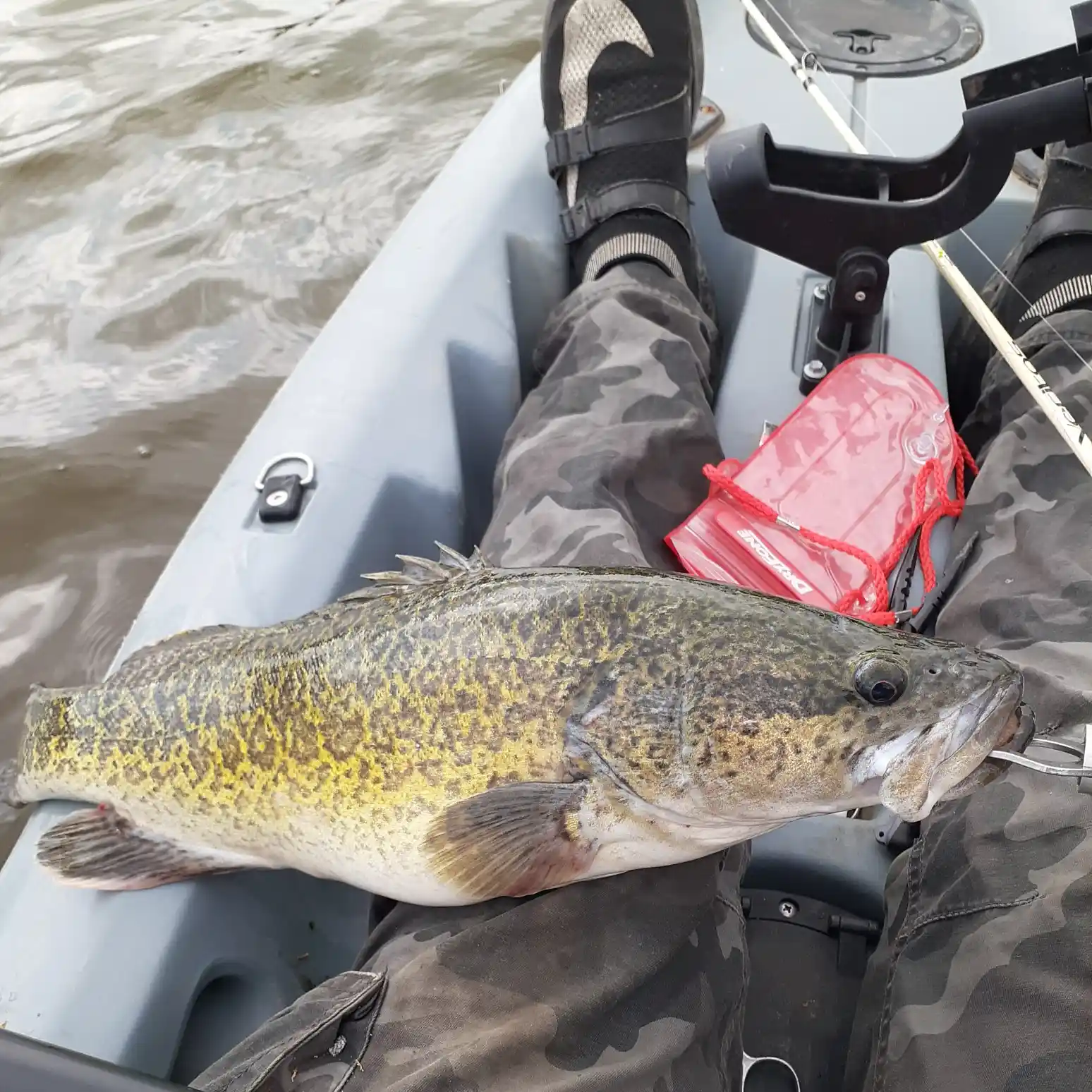 ᐅ Storm King Dam fishing reports🎣• Queensland, Australia fishing