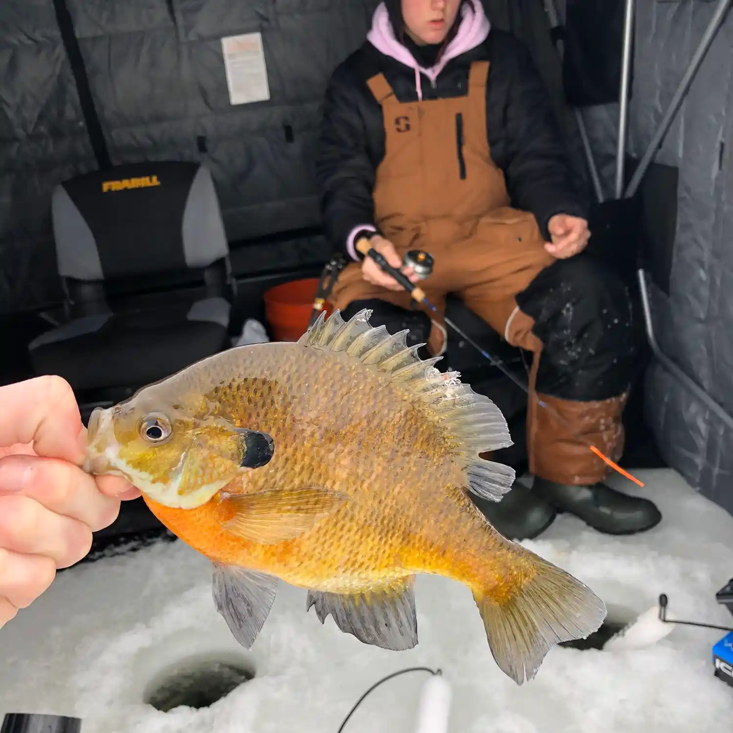 Big catch on Lake Ann