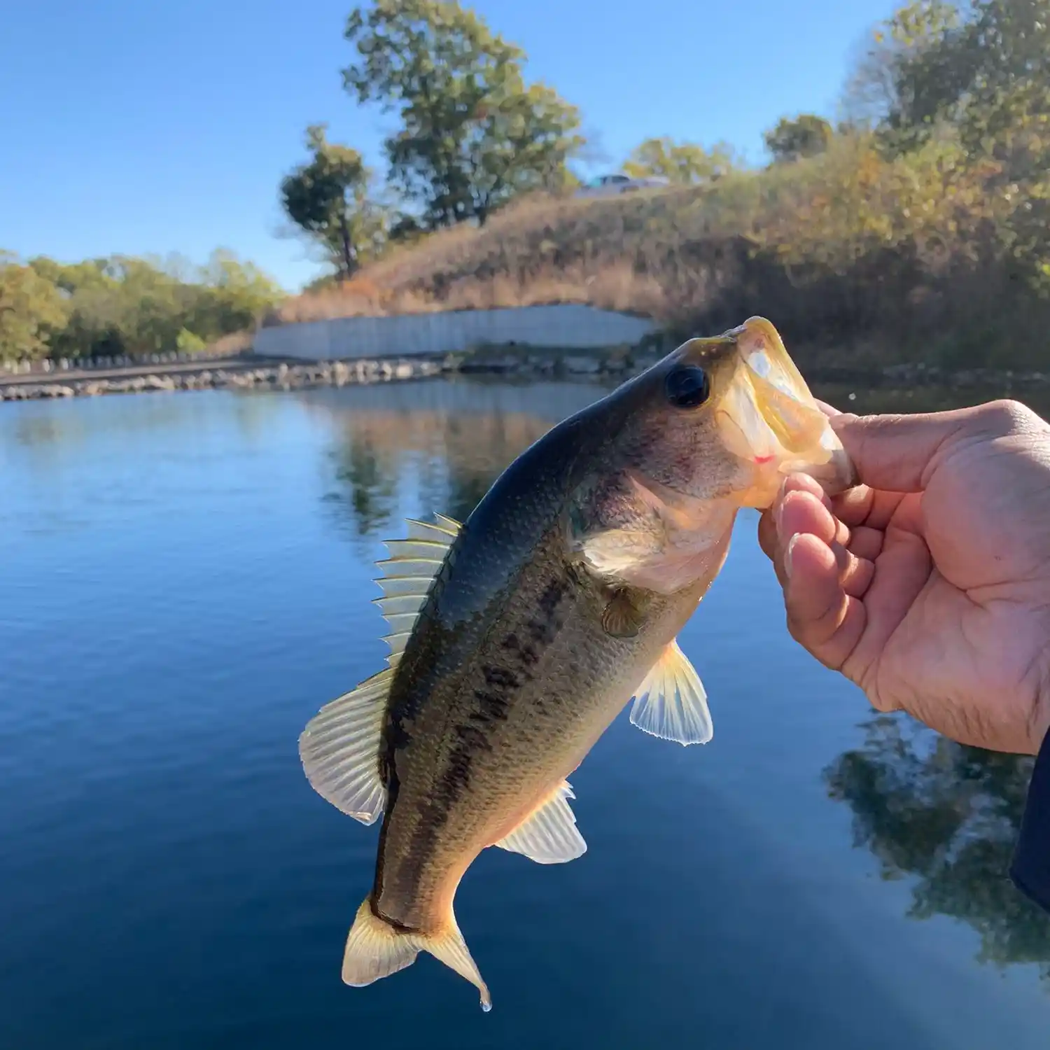 ᐅ YMCA Camp Classen Number 1 Reservoir fishing reports🎣• Ardmore, OK  (United States) fishing