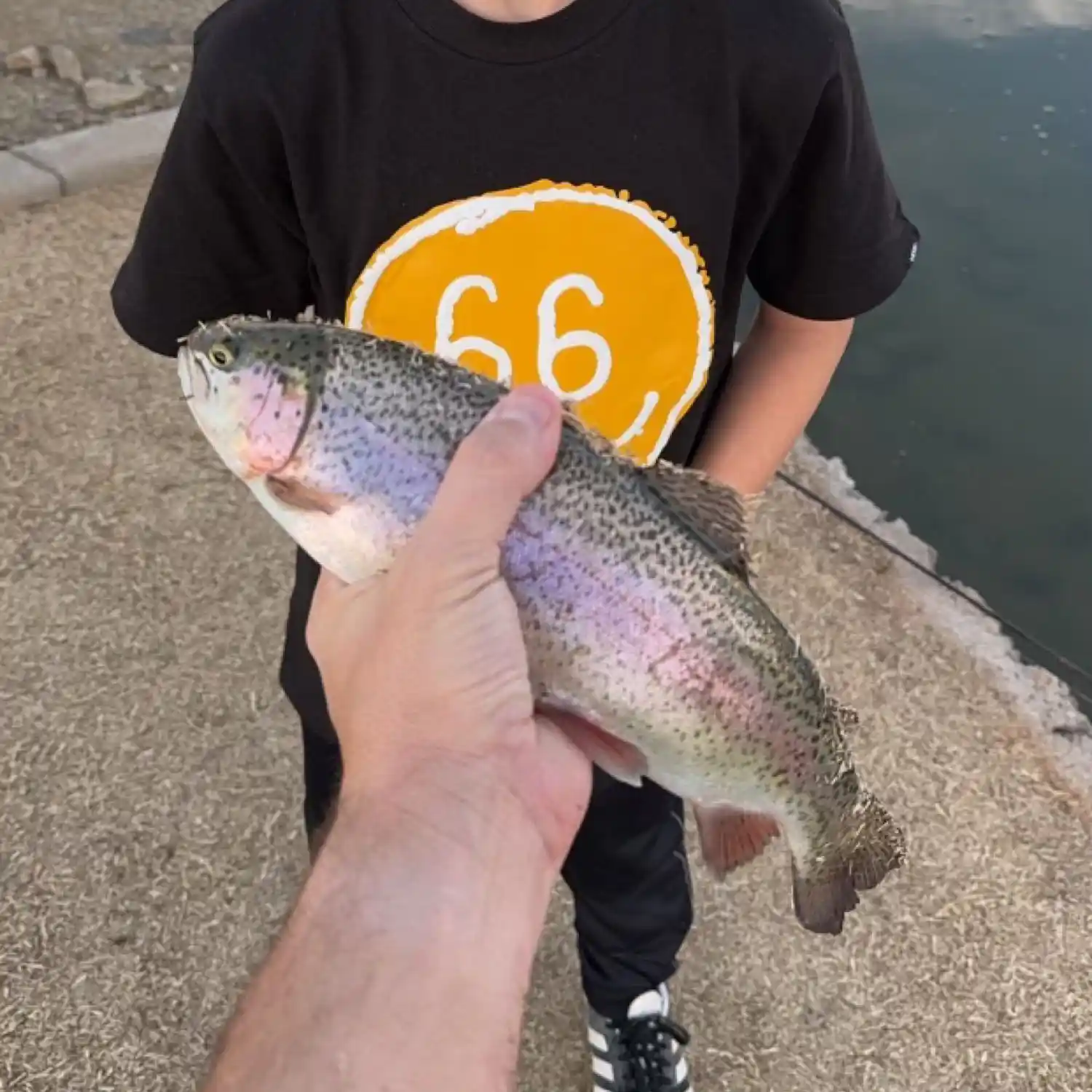 most liked catch image