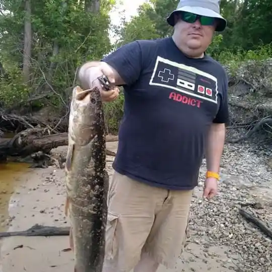 Waccamaw River bass put on feed bag in October - Carolina Sportsman