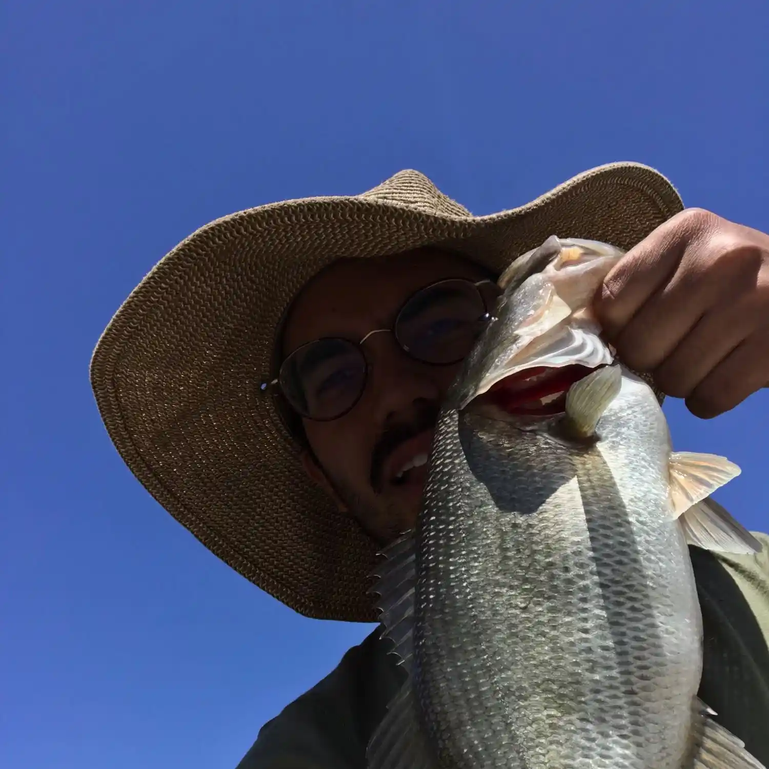 ᐅ Lake Henshaw fishing reports🎣• Ramona, CA (United States) fishing