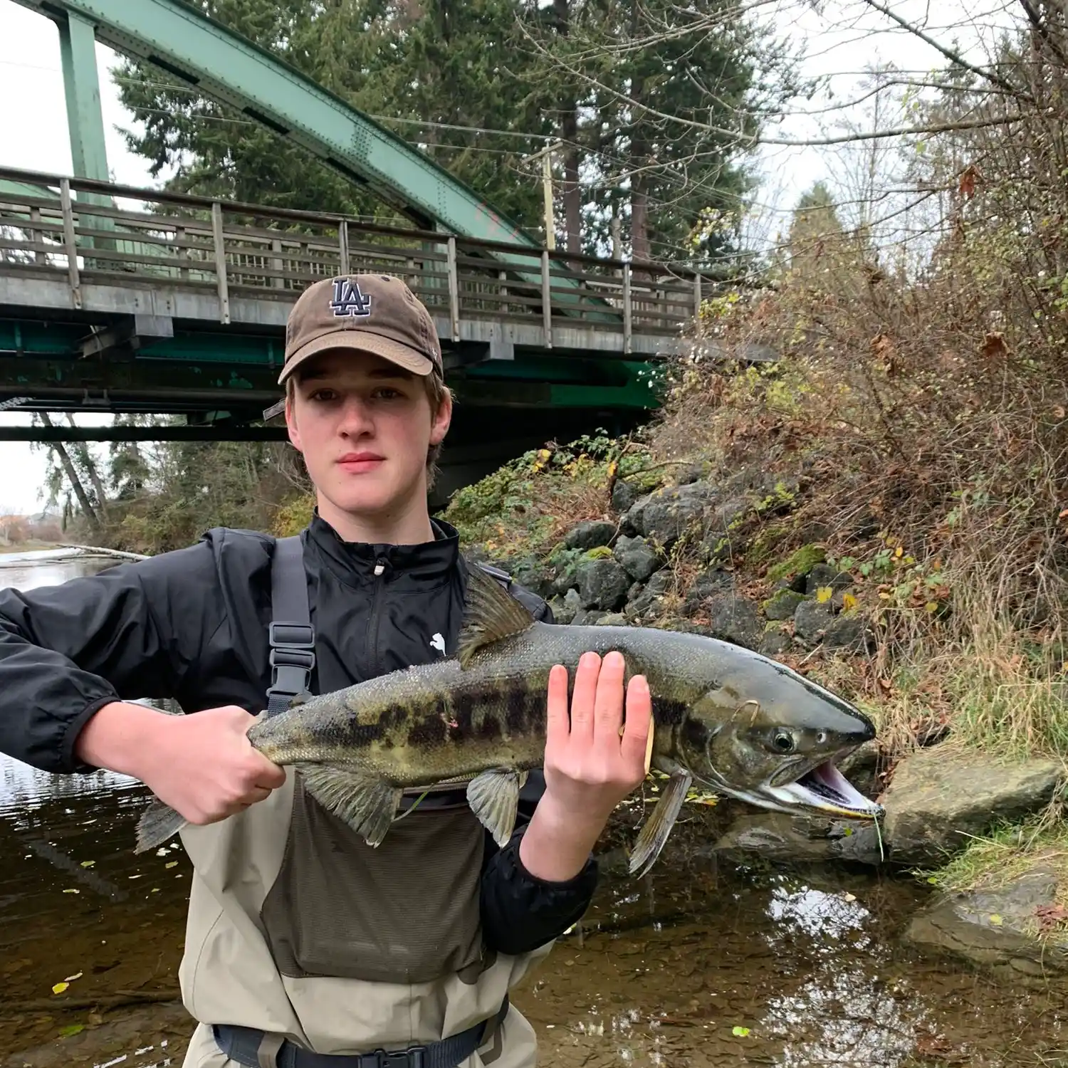 ᐅ French Creek fishing reports🎣• British Columbia, Canada fishing