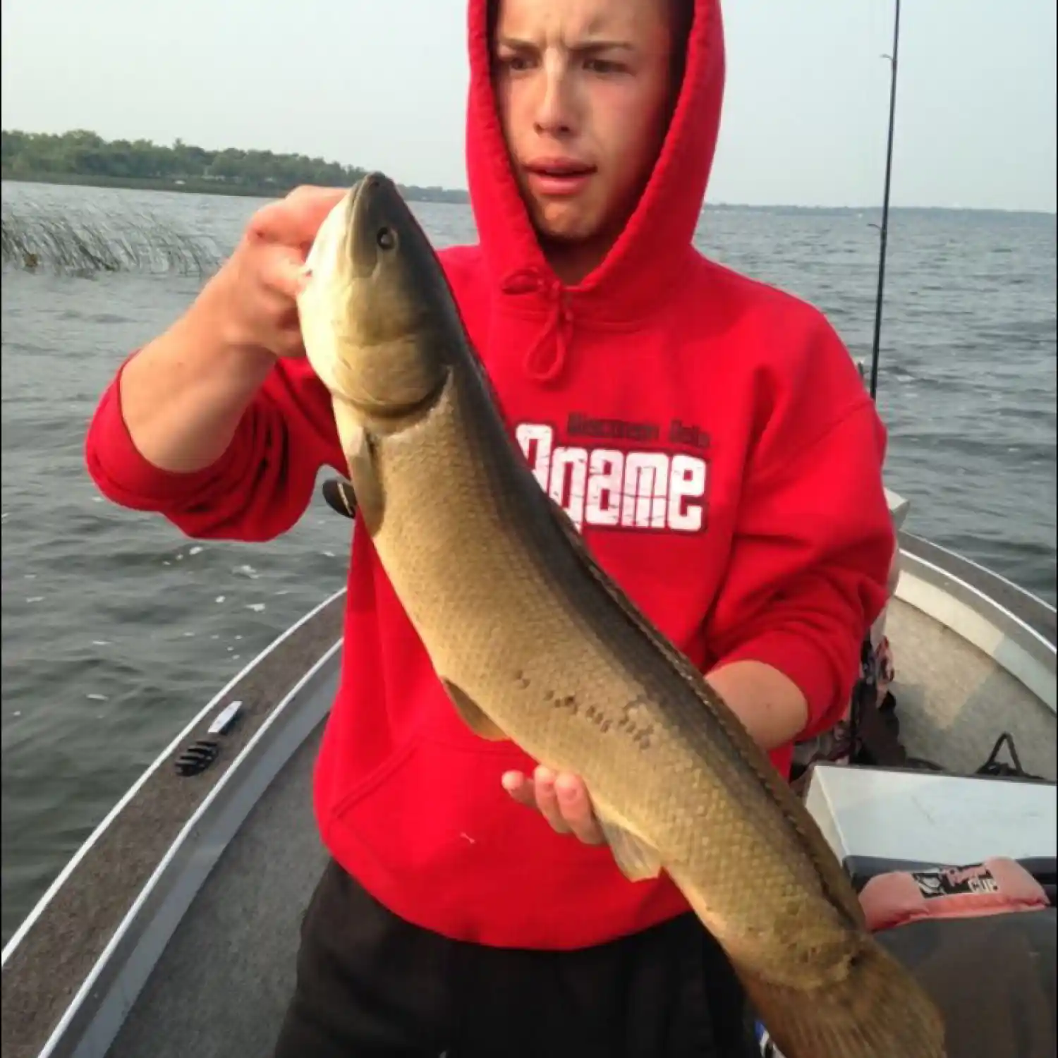 ᐅ Lake Osakis fishing reports🎣• Alexandria, MN (United States) fishing