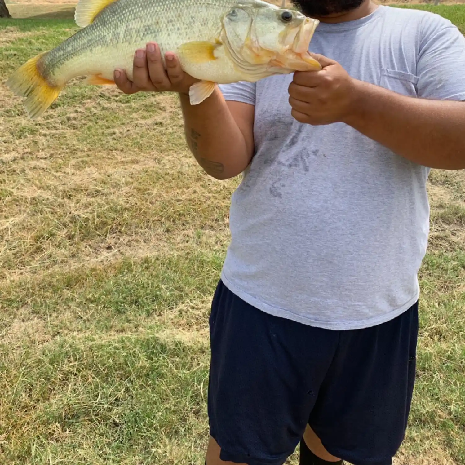 ᐅ Hart Park Lake fishing reports🎣• Oildale, CA (United States) fishing