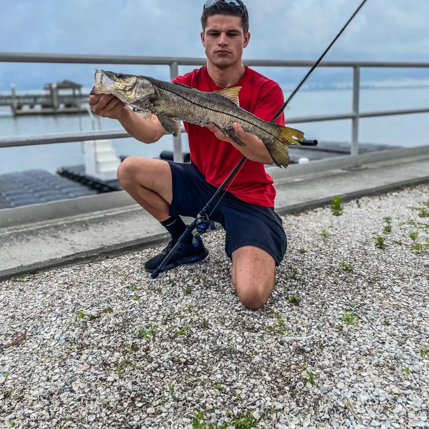 ᐅ Gadsden Park fishing reports🎣• Gibsonton fishing